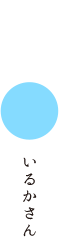 いるかさん